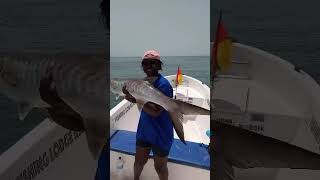 Hôtel Kasa Afrikana