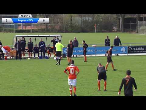 Samenvatting Angeren- DVV