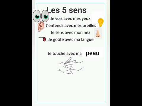 les cinq sens#sens_et_organes_des_sens#
