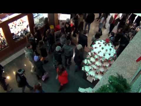 Flash Mob!  Deva Mall