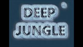 ROB Dougan - Clubbed To Death (Peshay Remix) - 1995 Old Rave/Jungle