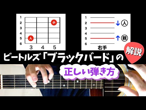 キサントケファルス・キサントケファルス