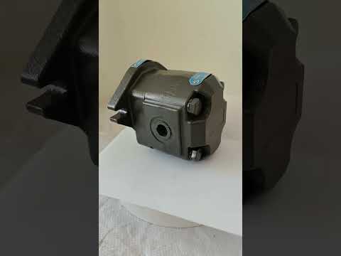 2026 Qingdao Promising Hydraulic Gear Pump YHP-1 12 OP for China Wheel Loader-cover-image