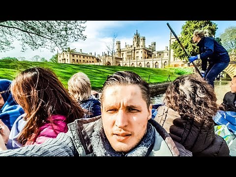 Видео-отзывы