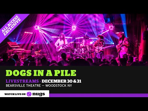 Dogs in a Pile 12/30/25 Woodstock NY