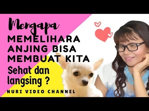 Cuka sari apel untuk menurunkan berat badan forum Membungkus perut pelangsing di cuka rumah