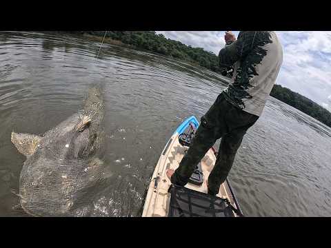 I don't even believe it was recorded. It seemed impossible to get this MONSTER out of the water.