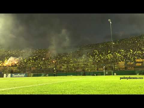 "Recibimiento Supercopa 2019 | Peñarol - Nacional de Montevideo" Barra: Barra Amsterdam • Club: Peñarol