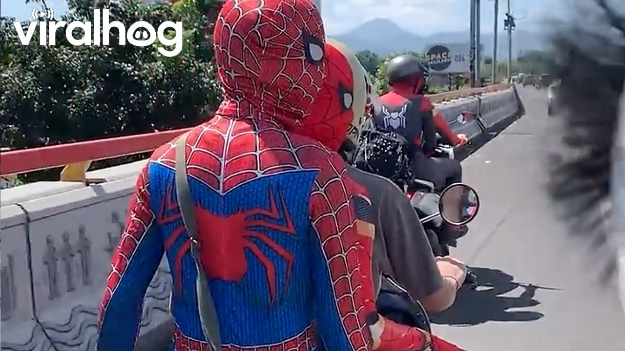 Parade of Spider-Men in Bandung, Indonesia || ViralHog