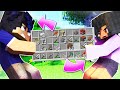 Minecraft BUT We Share ONE INVENTORY