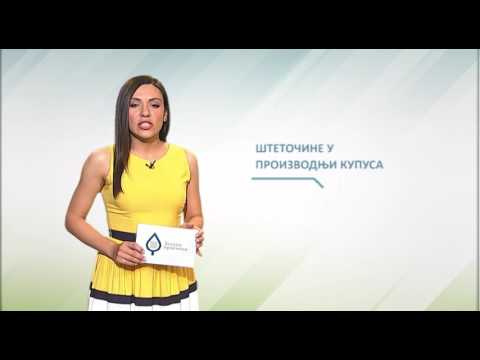 Zelena prognoza, 23.6.2017. - O prisutnim štetočinama u proizvodnji kupusa