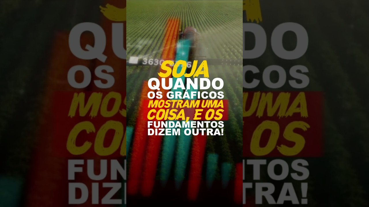 SOJA: QUANDO OS GRÁFICOS MOSTRAM UMA COISA, E OS FUNDAMENTOS DIZEM OUTRA!