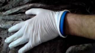 preview picture of video 'anatomia I musculos del dorso y de la nuca'