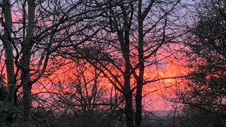 Merlin’s (mini) Storm Layer