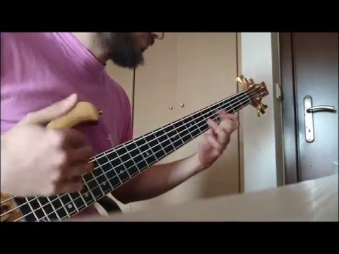 Primus-american life bass cover