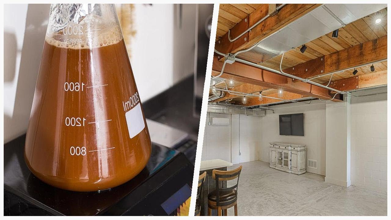 75 All Ceiling Designs Industrial Basement Design Ideas You'll Love ➤