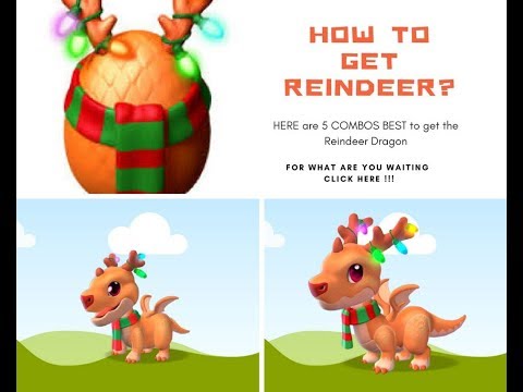 ⭐ 5 BEST BREEDING COMBOS of REINDEER dragon ( watch with subtitles)