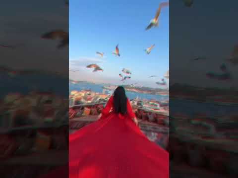Sham Bhi Khub Hai 90s LoveSong Karz The Burden OfTruth Aesthetic Status#4k #love #whatsapp viral