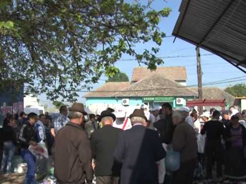 PSD Dolj - campanie la Poiana Mare. Mandri ca suntem romani!