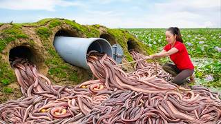 Download lagu Harvesting Millions Prehistoric Eels & Go to Market Sell | How to make effective creative eel traps mp3