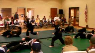 preview picture of video 'Kuk Sool Won of Oak Hill Martial Arts Demo Highlights'