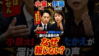 小泉大臣「涙なしには読めません」伊藤たかえが問う辺野古事故の重み#小泉進次郎 #国民民主党 #伊藤たかえ