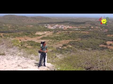 HEINRICH - TATA PORDONAMI [OFFICIAL VIDEO]