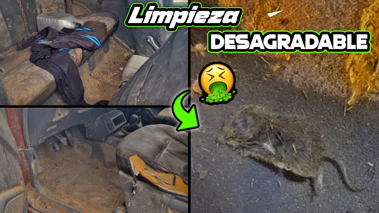 la LIMPIEZA de COCHE mas ASQUEROSA de mi VIDA🤮🐭