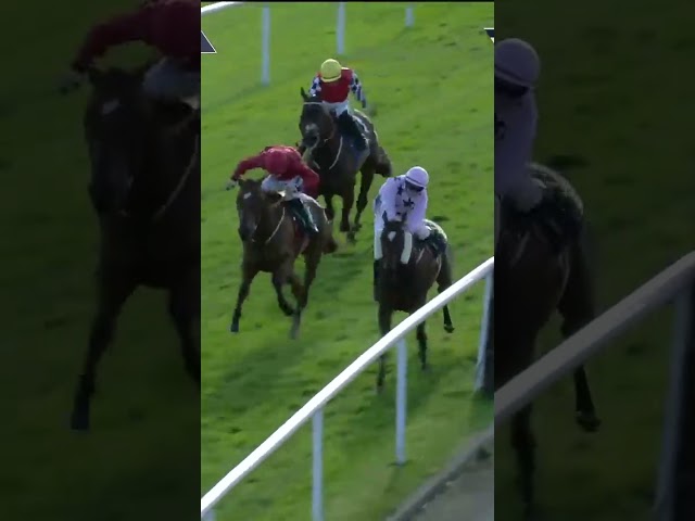 Thumbnail for Post ID: MNWMeMKKNzE