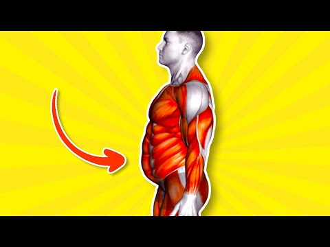 ➜ Øk HAMMERSTØRRELSEN på 23 dager med denne 6-minutters treningsøkten