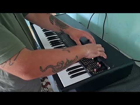 Venta Elektronika EM-11 Rare Analog Synth (EFFECT DEFECT) image 18