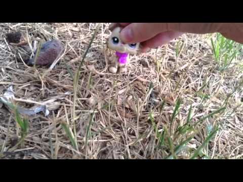 LPS: A Different Start (Episode #1: Just Another Day)