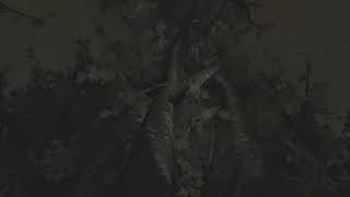 11 Drunk guys play Slender Part 1/2 (HD 480p)
