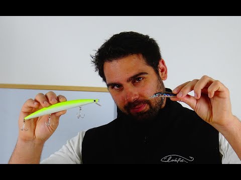 Quali artificiali comprare e scegliere tra Seaspin, Molix, Duo, Rapala ed alcune esche artigianali!