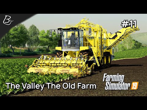 Sugar Beet Harvest | The Valley The Old Farm | Timelapse #11 | Farming simulator 19 |