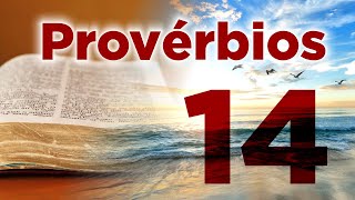 A Sabedoria Edifica a Casa | Bíblia Falada (Provérbios 14)
