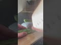 Bitter Gourd Salad