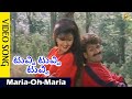 Maria Oh Maria Video Song Tuvvi Tuvvi Tuvvi Kannada Movie Songs Vega Music