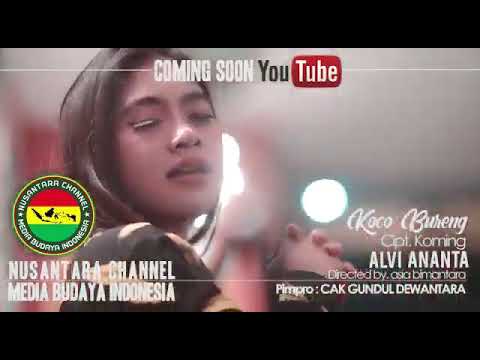 Alvi ananta koco bureng