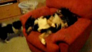 Video02