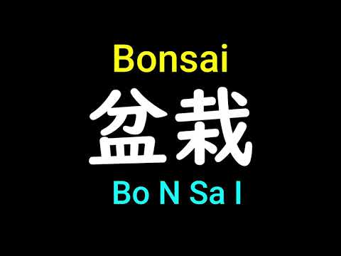 Japanese pronunciation of Bonsai