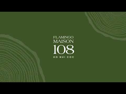 Video dự án 1