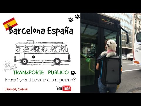 Perro en Transporte Publico en BARCELONA ESPAÑA Tren, bus, metro