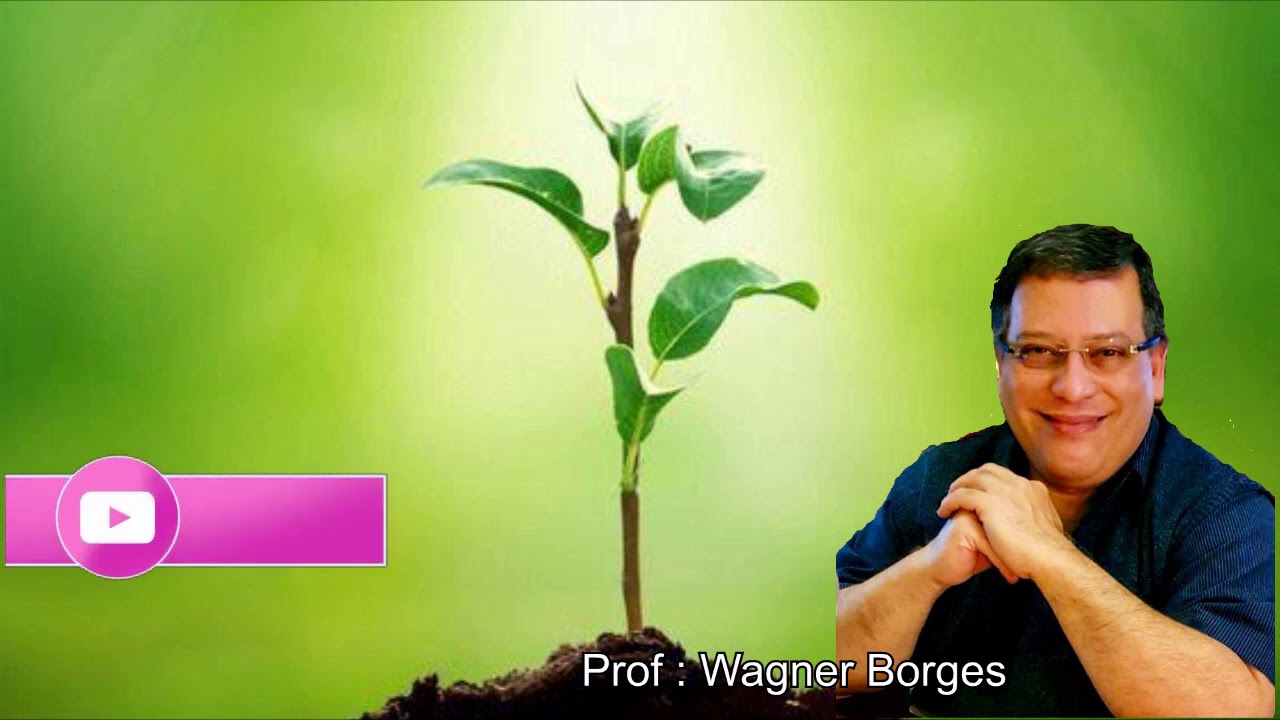 A Sabedoria dos Pretos Velhos e Mais Sementes Espirituais | Viagem Espiritual