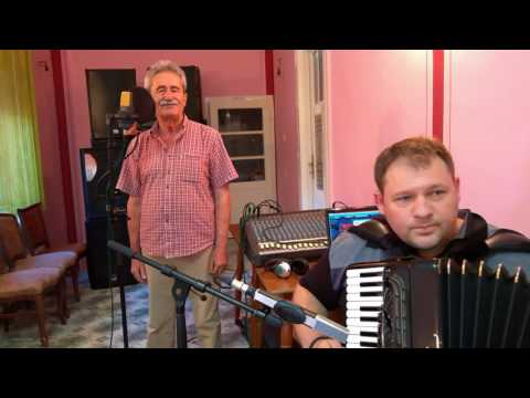 Dobrivoje Pavlica - Beograde, grade (demo)