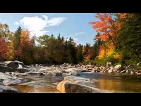 Raimo Laamanen - Mietin sua haaveissain-