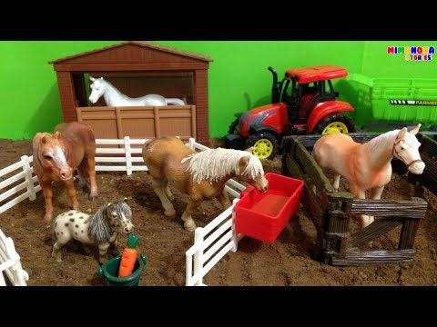 Caballos para niños 🐎  | Horses for children and The Alphabet Song | Mimonona Stories Video
