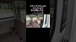 #犬 #犬のいる生活 #犬のいる暮らし #犬の気持ち #ペットタクシー