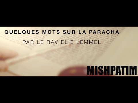 Tout pour la Paix ?! Rav Élie Lemmel - Parasha Mishpatim