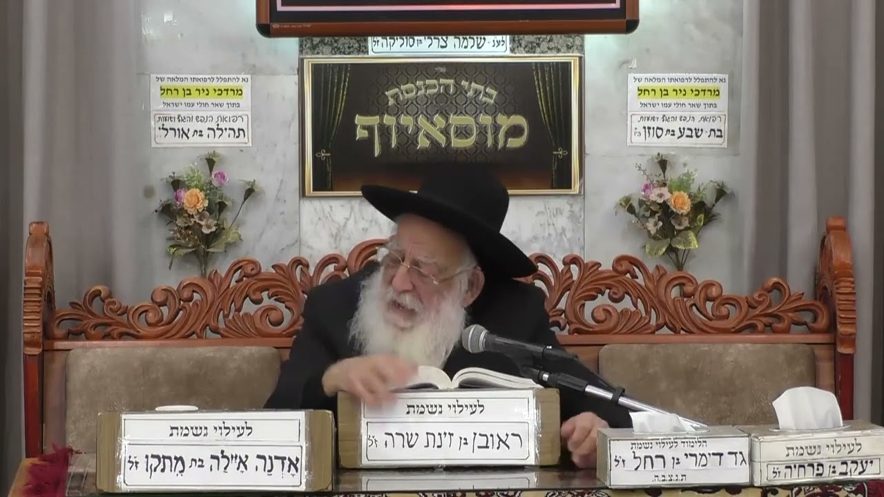 הרב יוסף חבה | הלכות בן איש חי | מוסאיוף